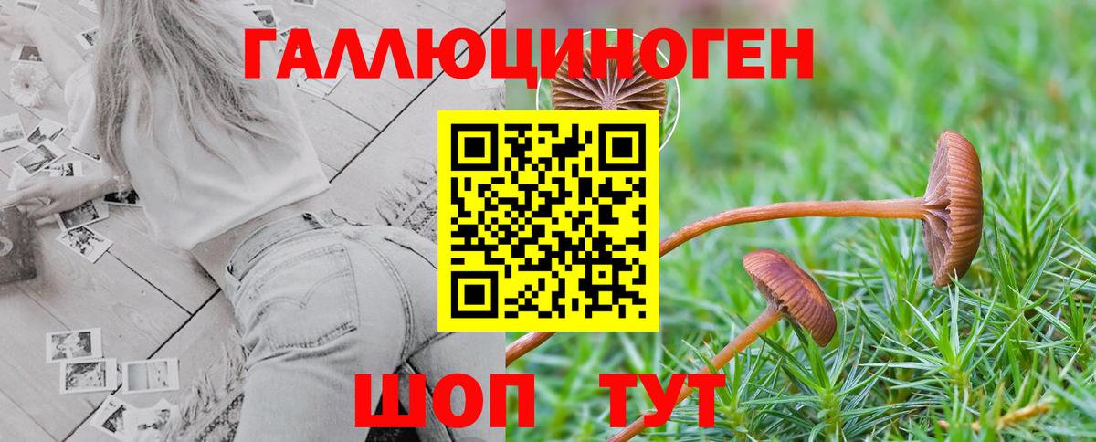 Псилоцибиновые грибы прущие грибы Мончегорск